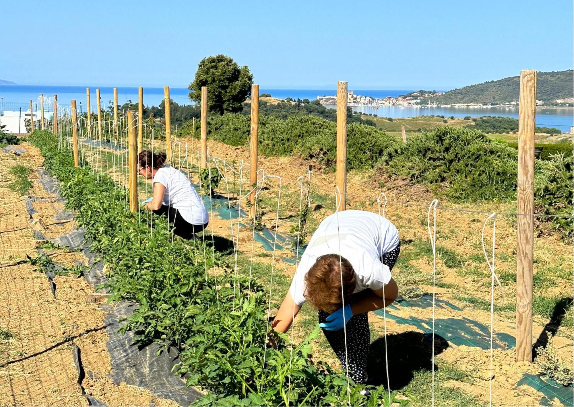 Agriturismo La Vista - Adults Only 폰테블란다 외부 사진