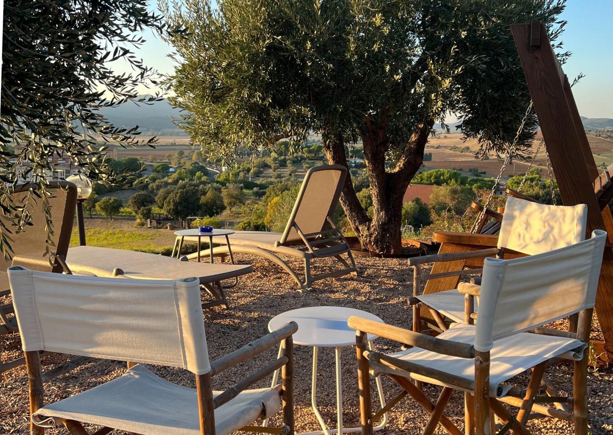 Agriturismo La Vista - Adults Only 폰테블란다 외부 사진