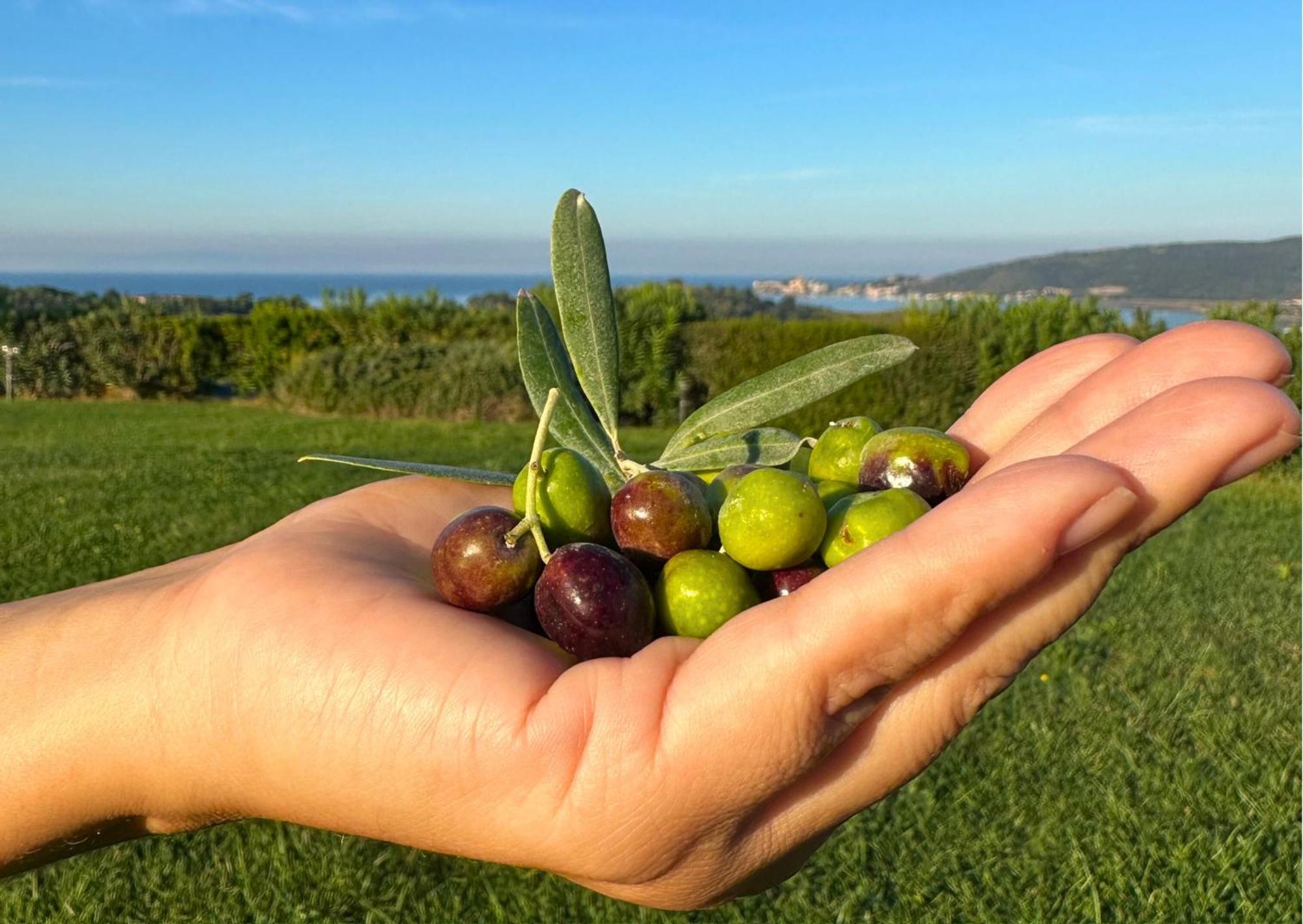 Agriturismo La Vista - Adults Only 폰테블란다 외부 사진